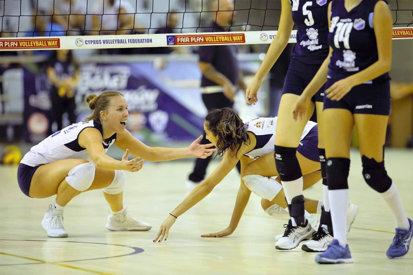 72263159 1604468236357287 497317407119900672 n