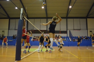 &Phi;&iota;&lambda;&iota;&kappa;ό: &Alpha;&Sigma;.&Pi;&Epsilon;.&Theta;έ&tau;&iota;&sigmaf; &Beta;&omicron;ύ&lambda;&alpha;&sigmaf; - &Gamma;&Sigma;.&Alpha;&sigma;&tau;έ&rho;&alpha;&sigmaf; &Alpha;&gamma;.&Delta;&eta;&mu;. 1-2 (pics)