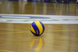 &Epsilon;&nu;&tau;ό&sigmaf; &mu;&epsilon; &Pi;&alpha;&pi;ά&gamma;&omicron;&upsilon; &eta; &pi;&rho;&epsilon;&mu;&iota;έ&rho;&alpha; &gamma;&iota;&alpha; &Nu;&epsilon;ά&nu;&iota;&delta;&epsilon;&sigmaf; (&Pi;&rho;ό&gamma;&rho;&alpha;&mu;&mu;&alpha;)