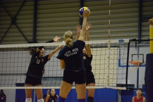 &Phi;&iota;&lambda;&iota;&kappa;ό: &Alpha;.&Sigma;.&Pi;&Epsilon;.&Theta;έ&tau;&iota;&sigmaf; &Beta;&omicron;ύ&lambda;&alpha;&sigmaf; - &Pi;&omicron;&rho;&phi;ύ&rho;&alpha;&sigmaf; 3-1 (pics)