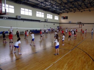 &Tau;&epsilon;&sigma;&tau; &mu;&epsilon; &tau;&iota;&sigmaf; &alpha;&mu;&epsilon;&rho;&iota;&kappa;&alpha;&nu;ί&delta;&epsilon;&sigmaf; &eta; &Pi;&alpha;&lambda;&lambda;ή&nu;&eta; &kappa;&alpha;&iota; &eta; &Theta;έ&tau;&iota;&delta;&alpha;